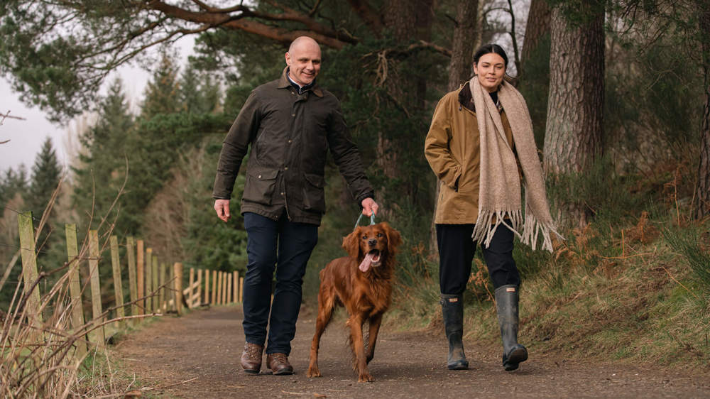 Dog Friendly Walks in Perthshire